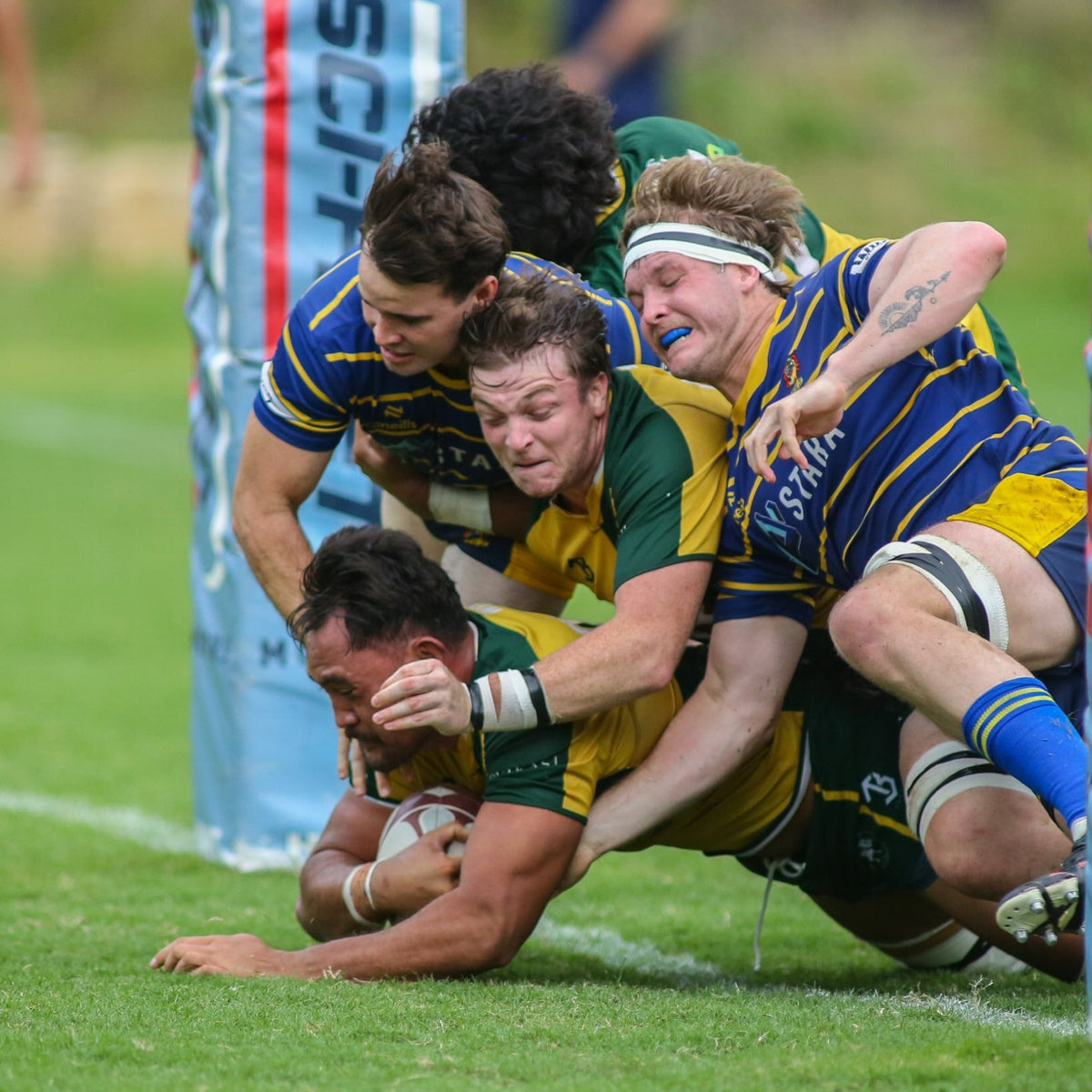 Wests Bulldogs Rugby Union – Bulldogs Shop